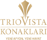 Triovista